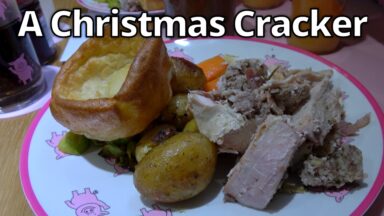 Image of a plate of Christmas dinner of roast turkey with vegetables.