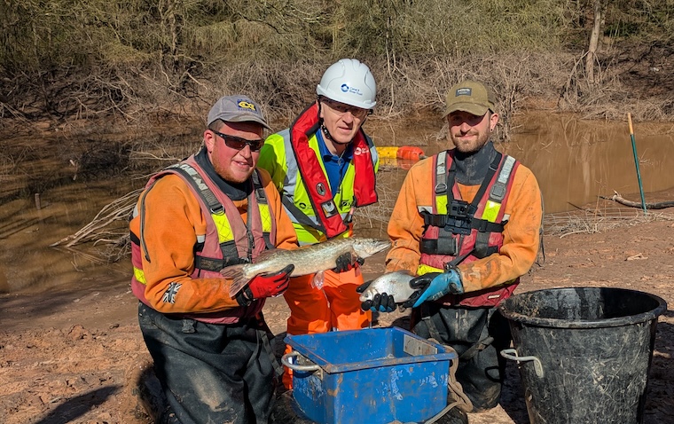 Three men with a large fish, rescued from the breach site on the Llangollen canal.
